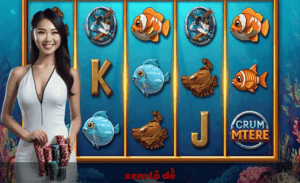 Xem lô đề